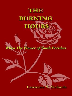 cover image of The Burning Hours